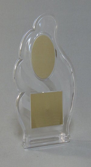 Ice Wave Awards Thumbnail